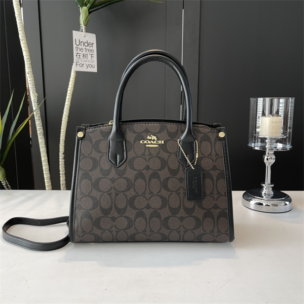 Coach bag-0183