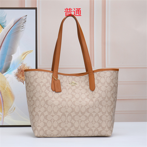 Coach bag-0021