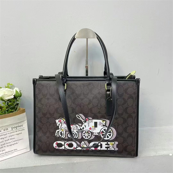Coach bag-0217