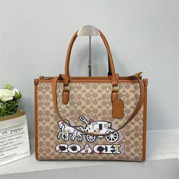 Coach bag-0218
