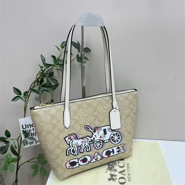 Coach bag-0221
