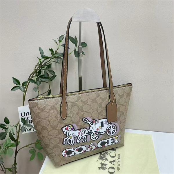 Coach bag-0223