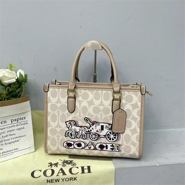 Coach bag-0226