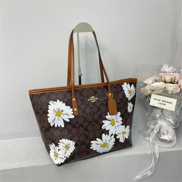 Coach bag-0229