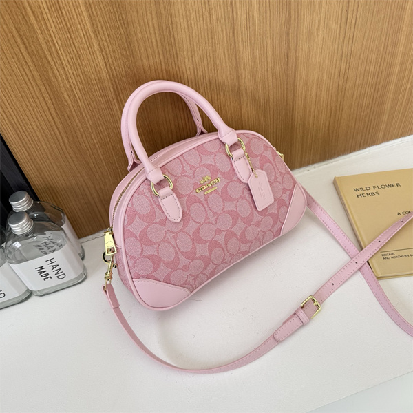 Coach bag-0234