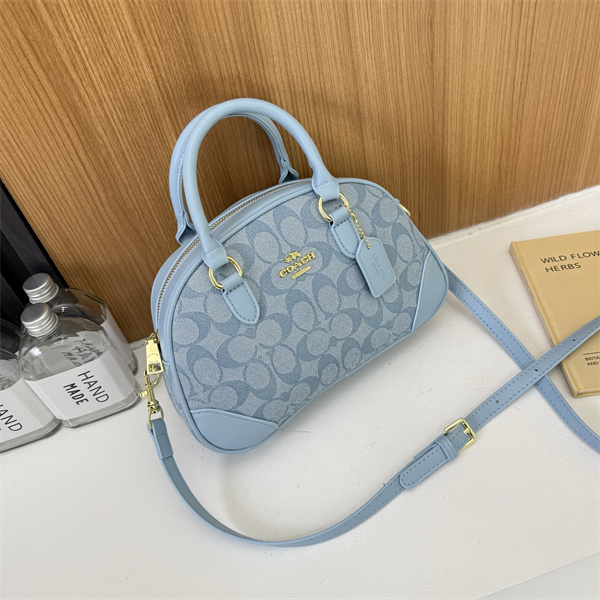 Coach bag-0236
