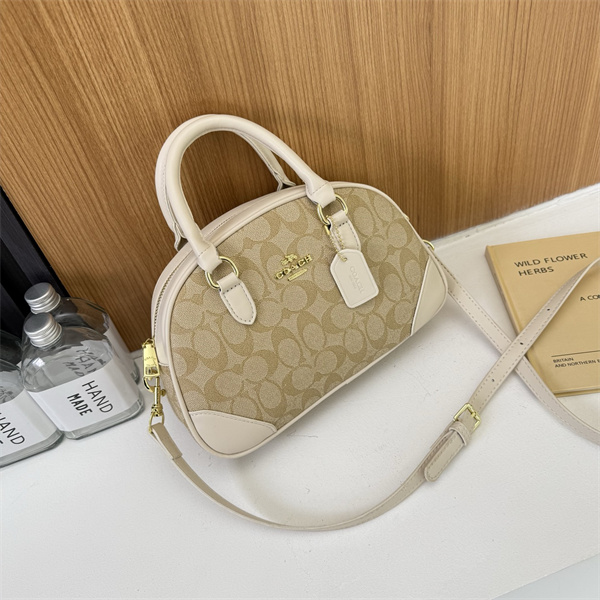 Coach bag-0238