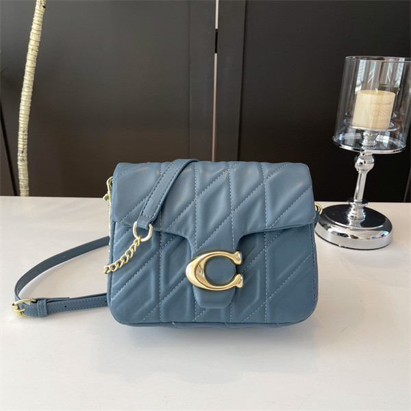 Coach bag-0242