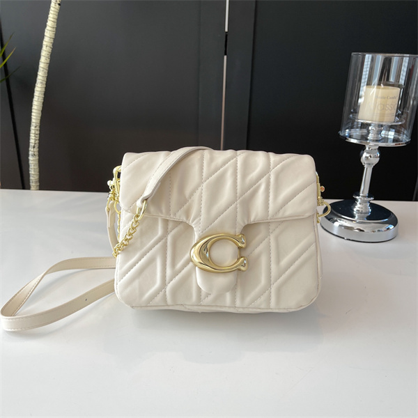 Coach bag-0245