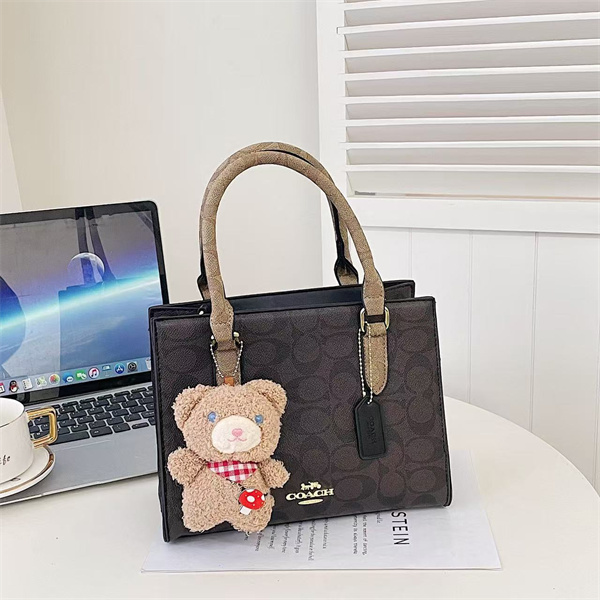 Coach bag-0259