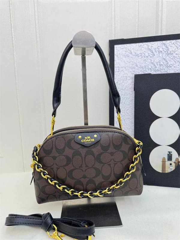 Coach bag-0261