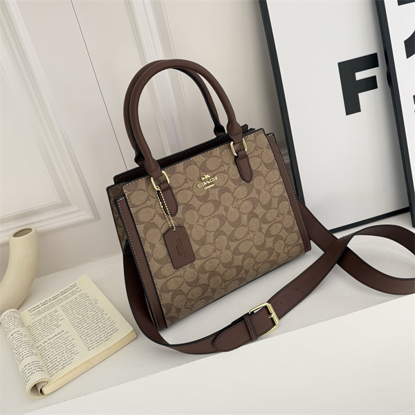 Coach bag-0272