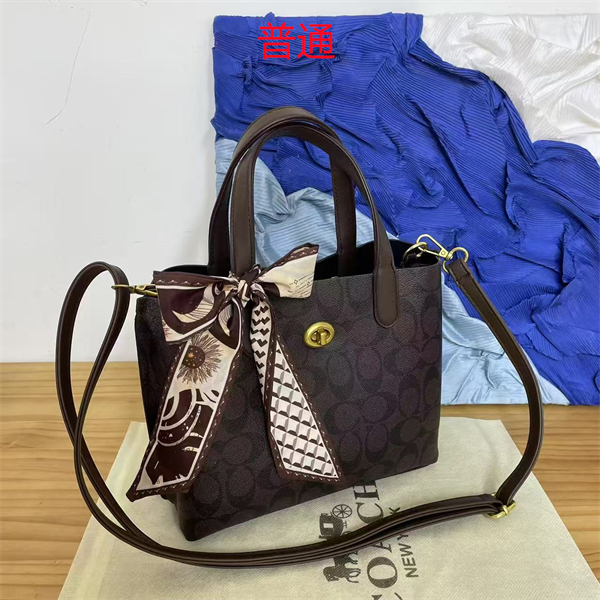 Coach bag-0288