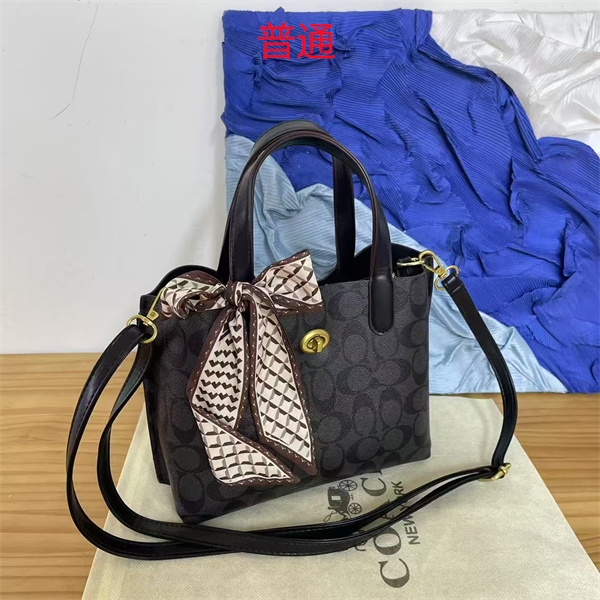 Coach bag-0291