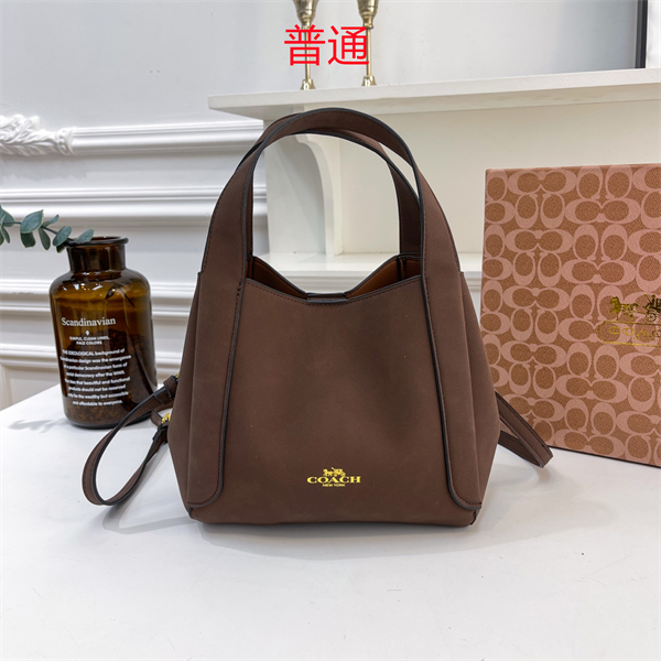Coach bag-0293