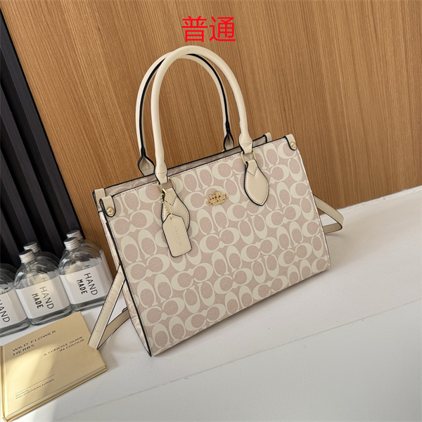 Coach bag-0302