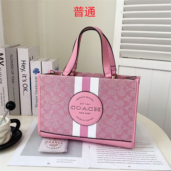 Coach bag-0315