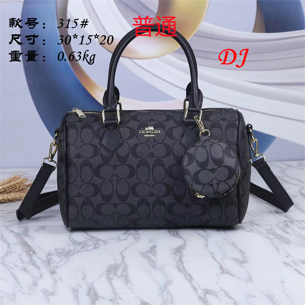 Coach bag-0032