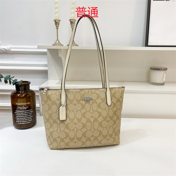 Coach bag-0319