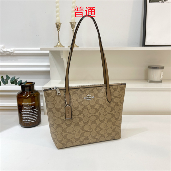 Coach bag-0320