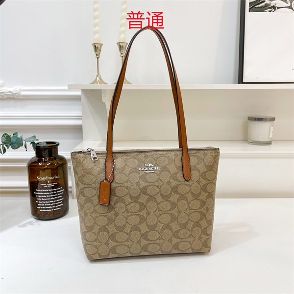 Coach bag-0325