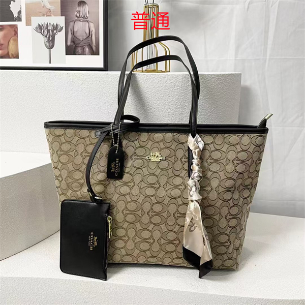 Coach bag-0330