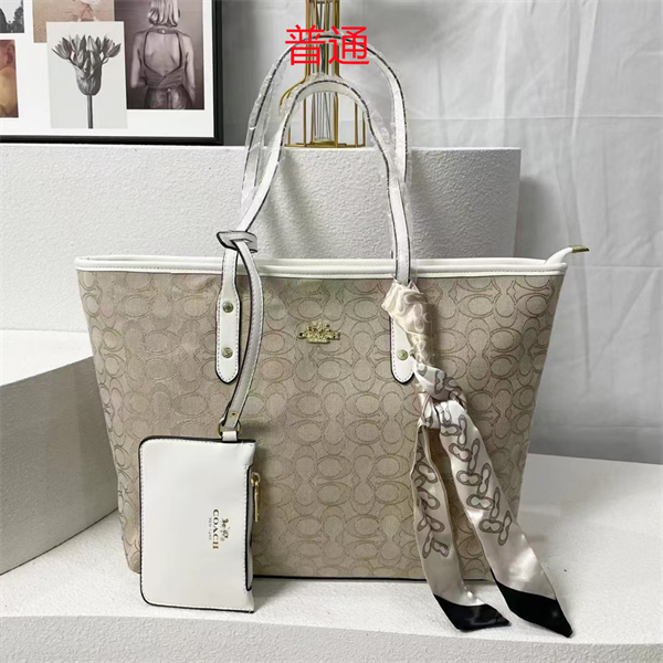Coach bag-0332