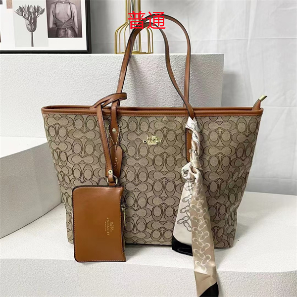 Coach bag-0333