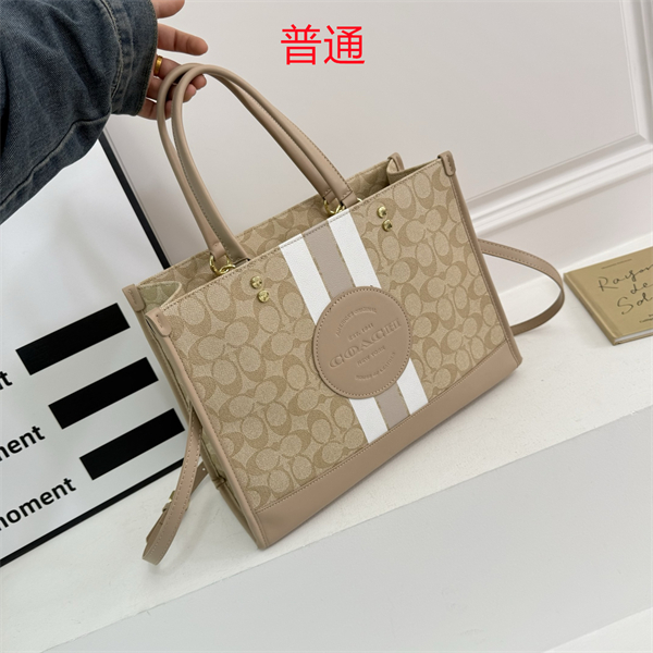 Coach bag-0334