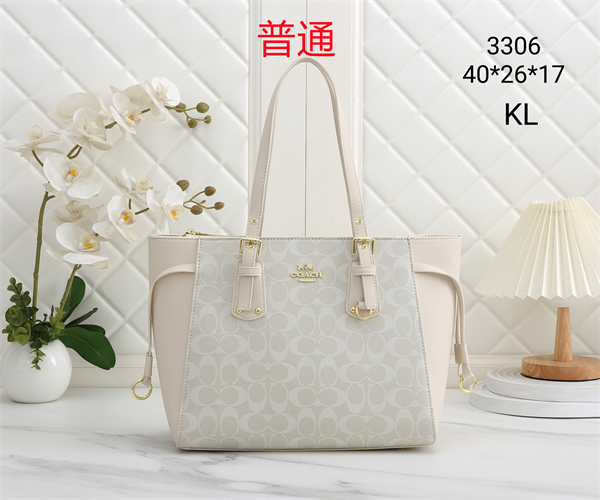 Coach bag-0345