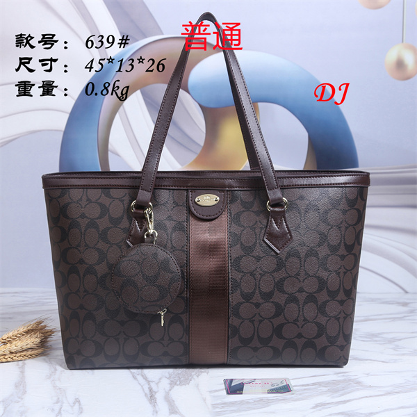 Coach bag-0035
