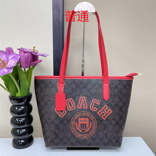 Coach bag-0363