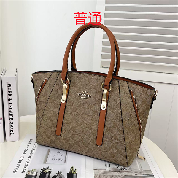 Coach bag-0366