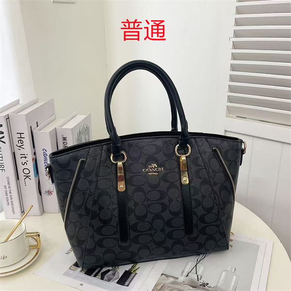 Coach bag-0368