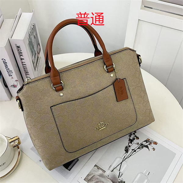 Coach bag-0374