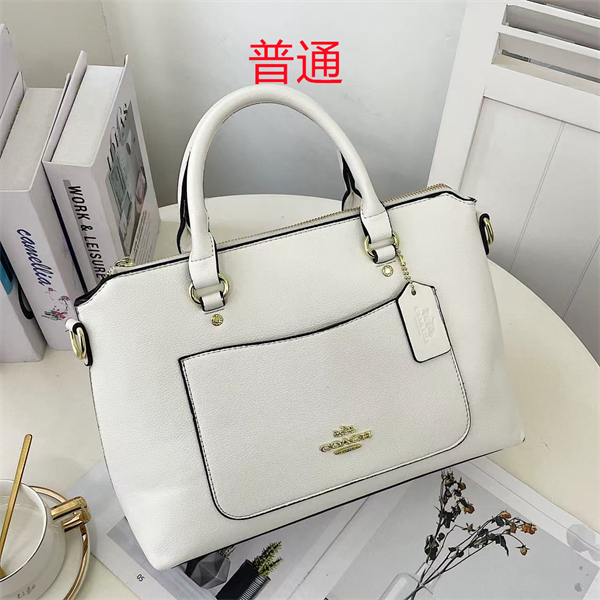 Coach bag-0376