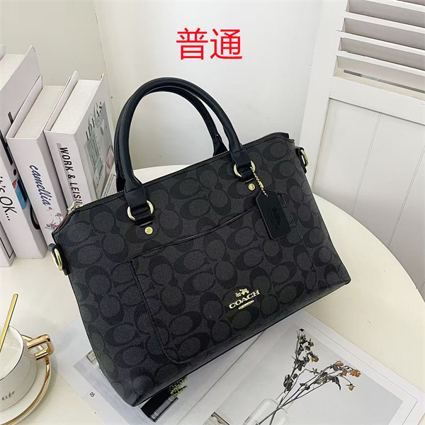 Coach bag-0377