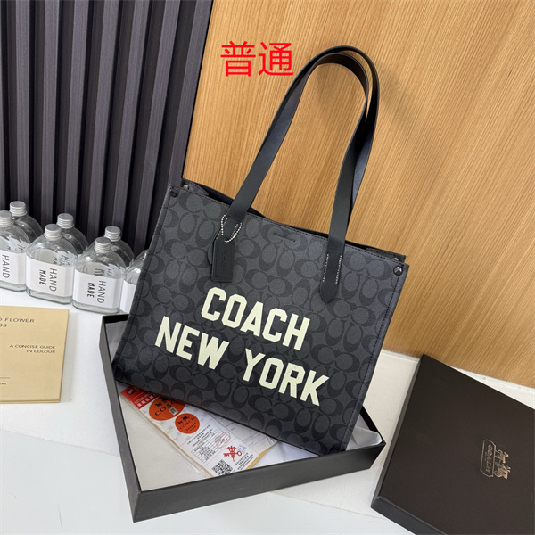 Coach bag-0387