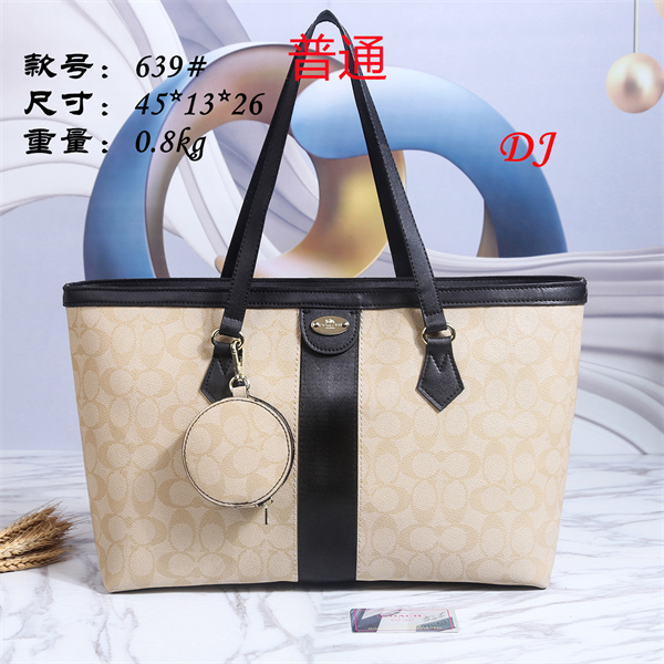 Coach bag-0039