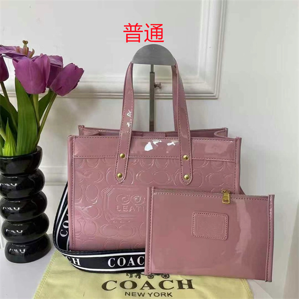Coach bag-0392