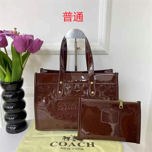 Coach bag-0393
