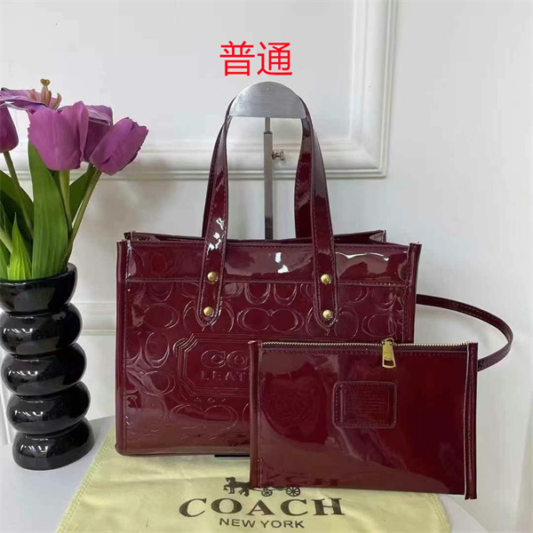Coach bag-0395