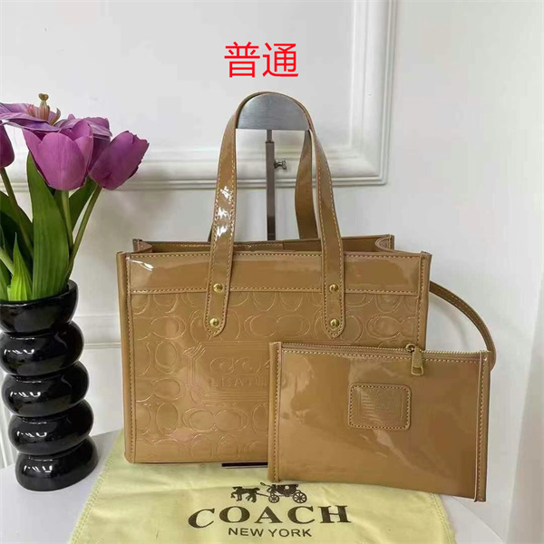 Coach bag-0396