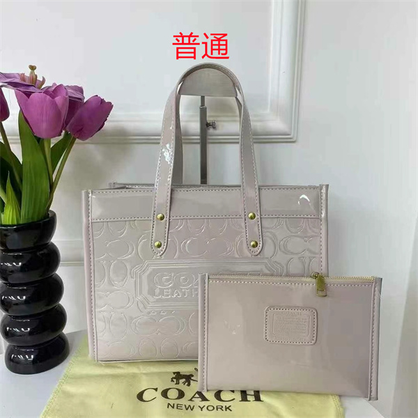 Coach bag-0398