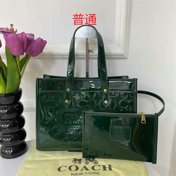 Coach bag-0399