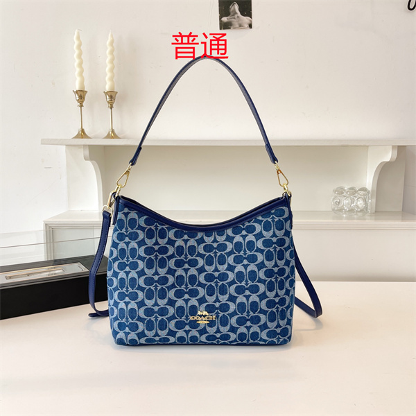 Coach bag-0401