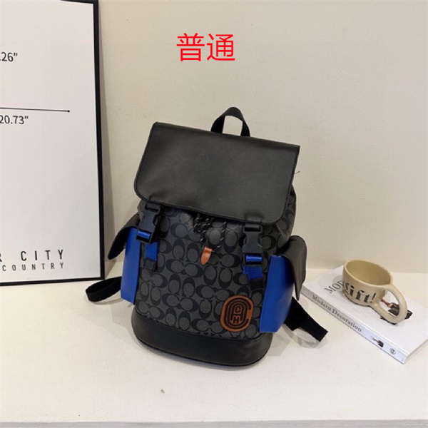 Coach bag-0403