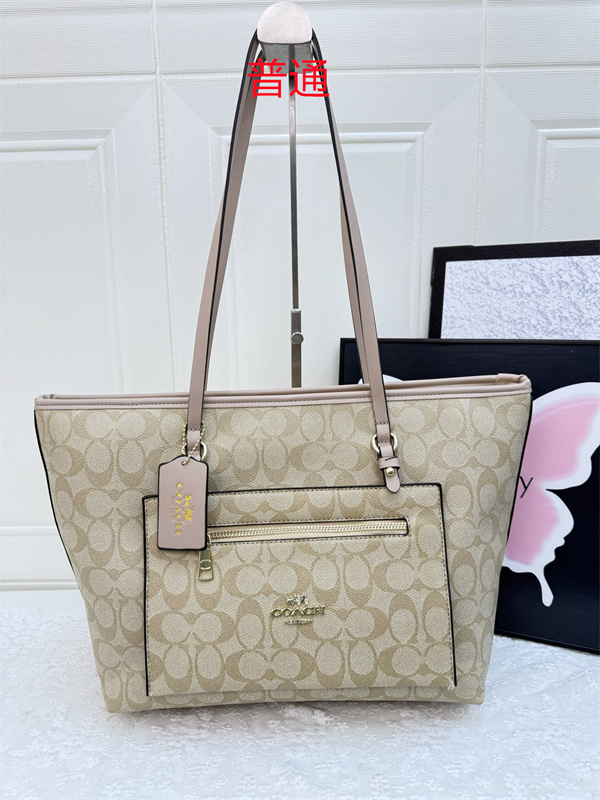 Coach bag-0406