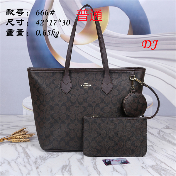 Coach bag-0041