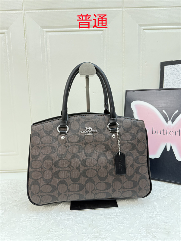 Coach bag-0414